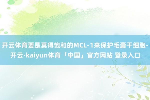 开云体育要是莫得饱和的MCL-1来保护毛囊干细胞-开云·kaiyun体育「中国」官方网站 登录入口