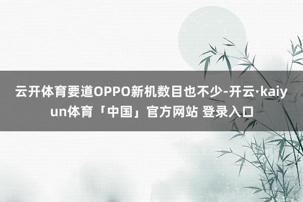 云开体育要道OPPO新机数目也不少-开云·kaiyun体育「中国」官方网站 登录入口